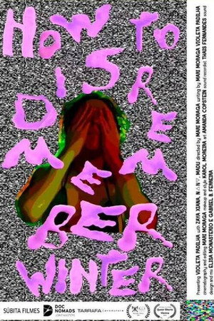 How to Disremember Winter poster