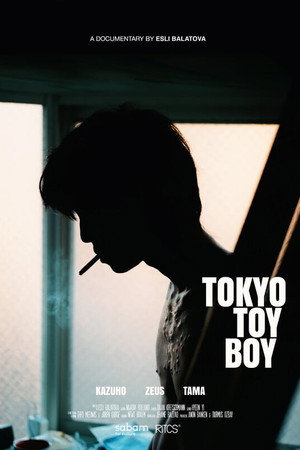 Tokyo Toy Boy poster