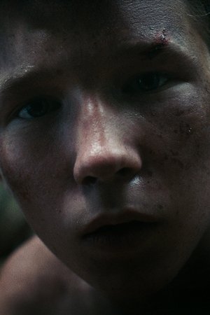 Perdido en la montaña