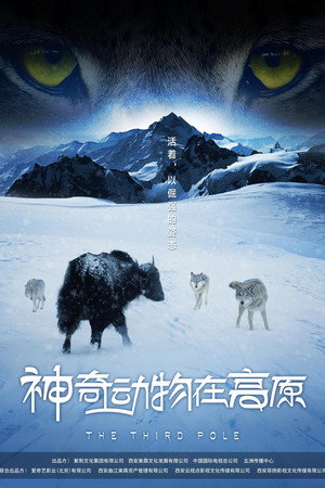 The Third Pole poster