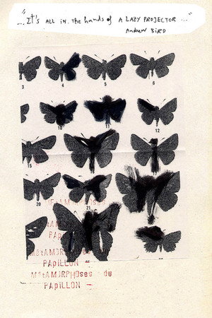 Métamorphoses du Papillon poster