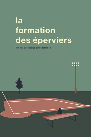 La Formation Des Éperviers poster