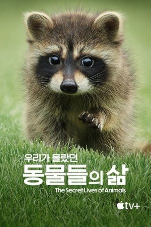 '우리가 몰랐던 동물들의 삶' - The Secret Lives of Animals