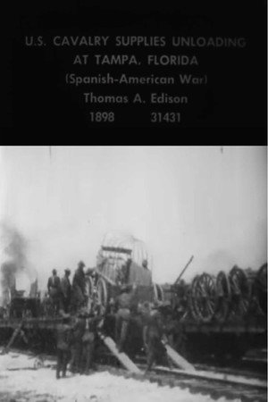U.S. Cavalry Supplies Unloading at Tampa, Florida poster