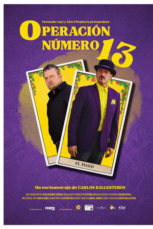 Operación número 13