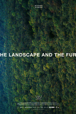 The Landscape and the Fury poster