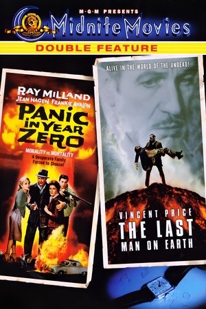 Poster of The Last Man on Earth