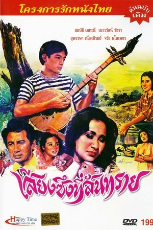 เสียงซึงที่สันทราย