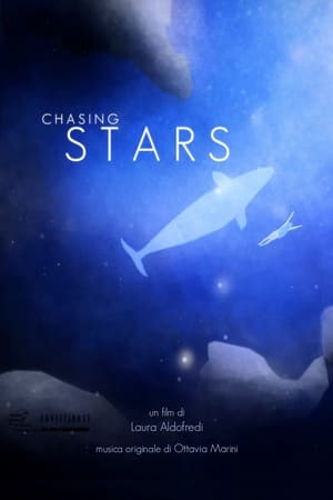 Chasing Stars