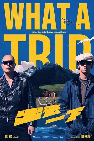 What A Trip