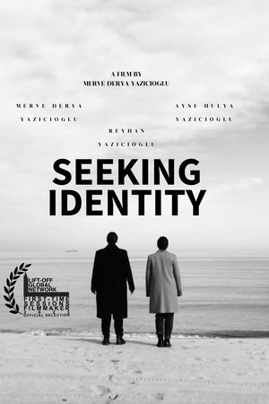 Seeking Identity