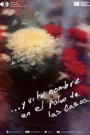 …And I Saw Your Name on the Dust of the Houses. poster