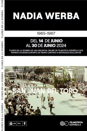 San Juan del Toro poster