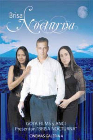 Night Breeze poster