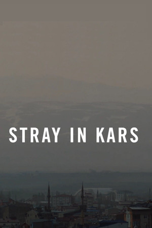 Stray in Kars poster
