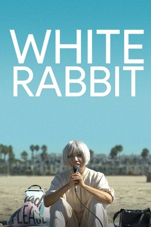 White Rabbit