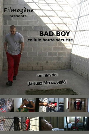 Bad Boy poster