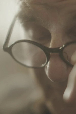 The Glasses poster
