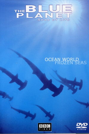 Qwcahek9rvcbzytlad0p6r6as1w