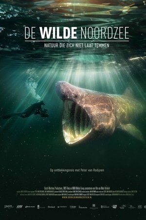 North See - Nature Untamed