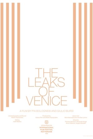 The Leaks of Venice