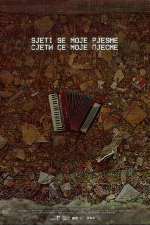Remember My Song poster
