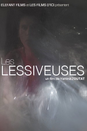 Les Lessiveuses poster
