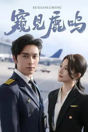 窥见鹿鸣