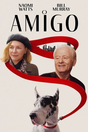 Poster do filme O Amigo