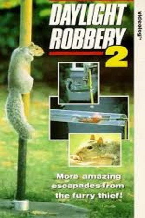 Daylight Robbery 2 poster