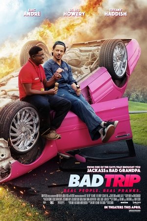 Imagem Bad Trip