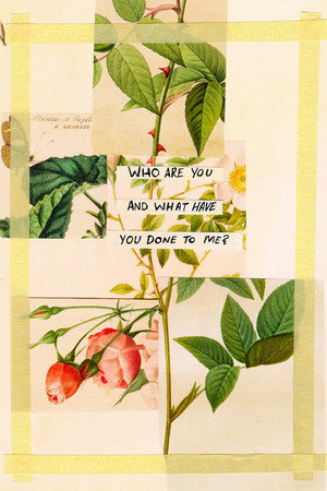 Who Are You and What Have You Done To Me? poster