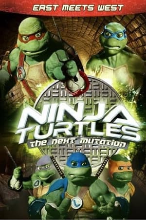 Ninja Turtles: The Next Mutation - East Meets West