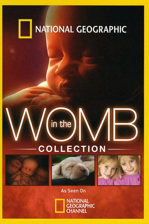 In the Womb
