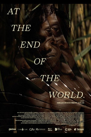 At the End Of The World poster
