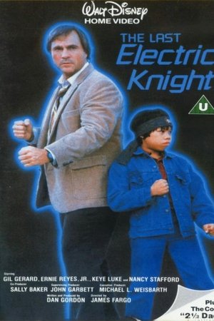 Last Electric Knight