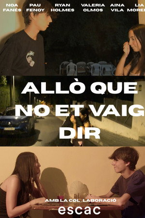 Allò que no et vaig dir poster