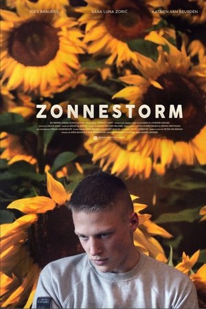 Zonnestorm