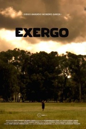 Exergo Exergo