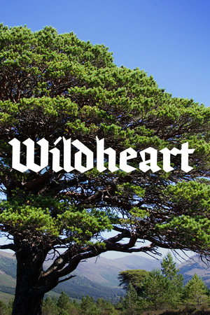 Wildheart poster