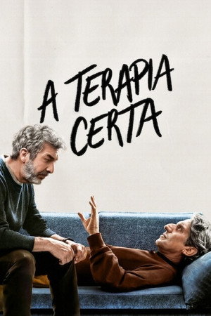 Poster do filme A Terapia Certa