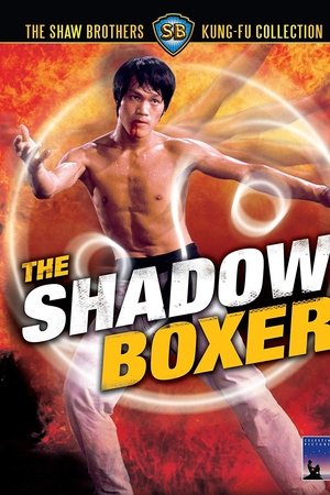 The Shadow Boxer