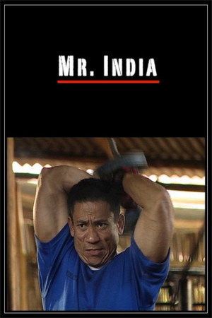 Mr. India poster