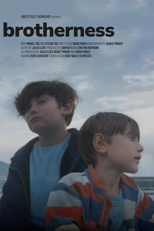 Brotherness poster