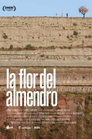 La flor del almendro poster