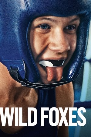 Wild Foxes