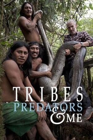 Tribes, Predators, and Me