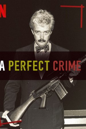 A Perfect Crime