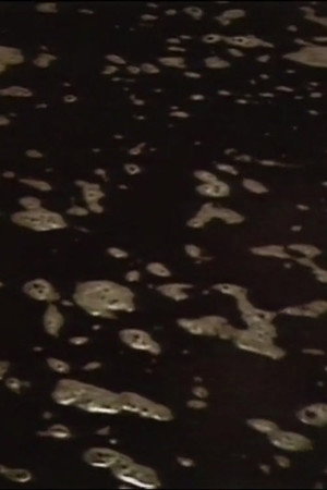 Brewing poster