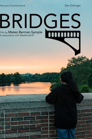 Bridges